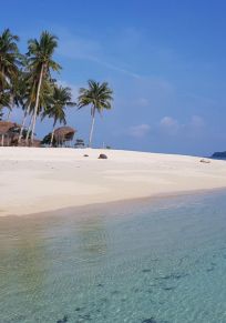 Isla Darocotam