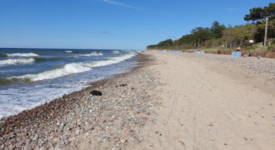 Wicie Plaża