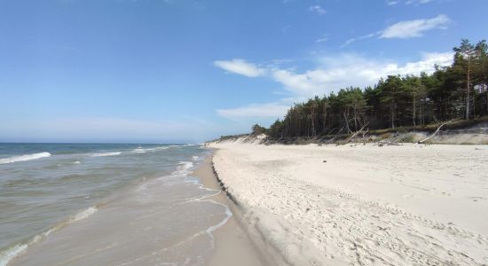 Cholpin Beach