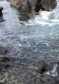 Isla del Pico