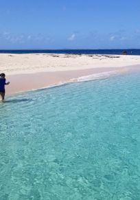 Isla de Icacos