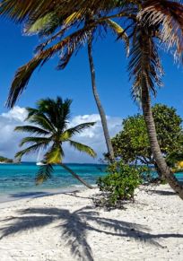 Isla Petit Rameau