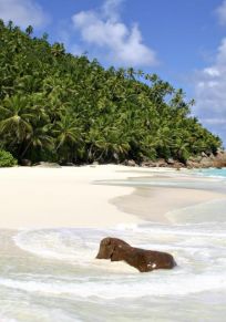 Isla de Frégate