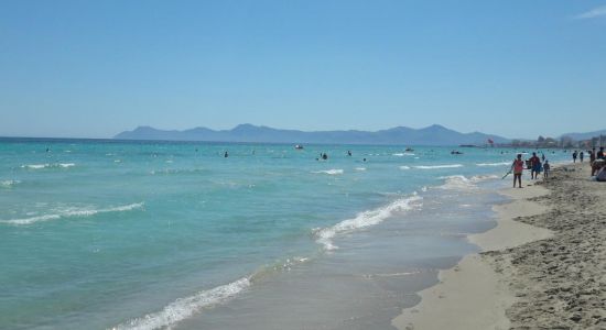 Playa de Muro