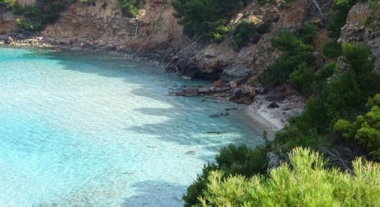 Platja des Caló