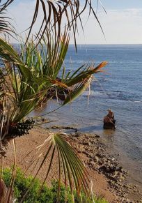 Jávea