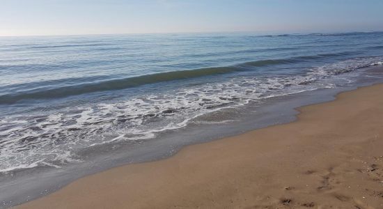 Platja dels Eucaliptus