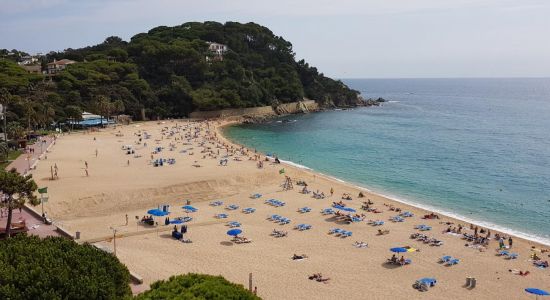 Platja de Fenals