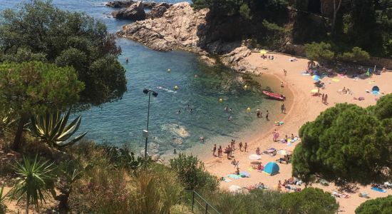 Cala Salionç
