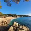 Cala Gogo