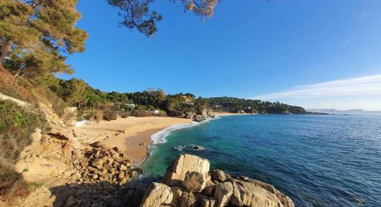 Cala Gogo