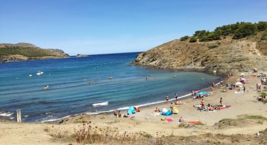 Platja del Borró