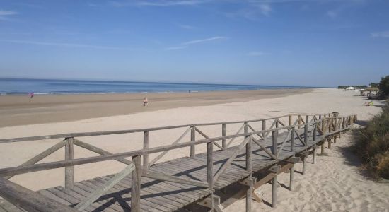 Playa de la Ballena