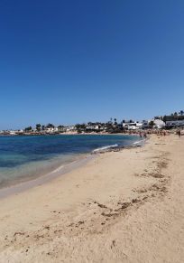 Zona de Palomitas