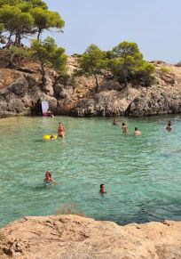 Localidad de Magaluf