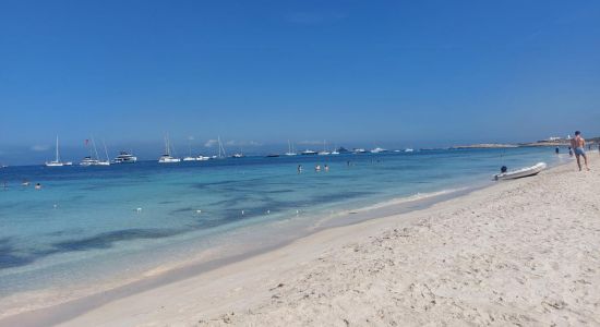 Es Cavall d'En Borras Beach