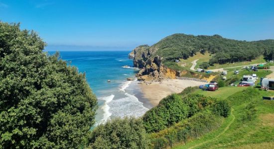 Las Arenas Beach