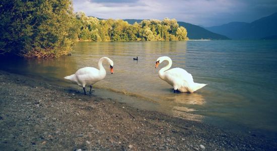 Choller Zug nudist Beach