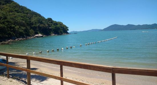 Praia Pedra Altas