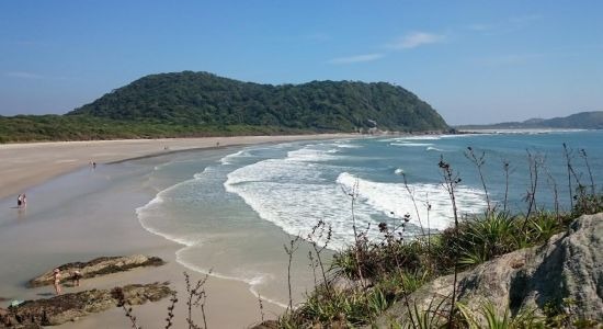Playa Miguel