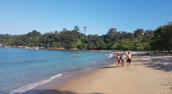 Playa Pulso