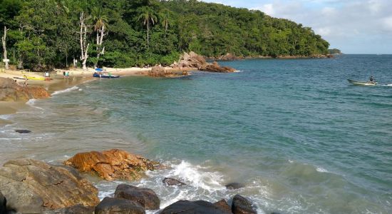 Playa Cedro do Sul