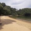 Playa Pitanga