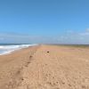 Playa de Regencia