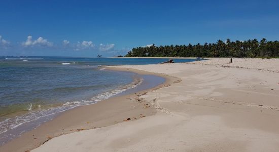 Ponta dos Castelhanos Beach