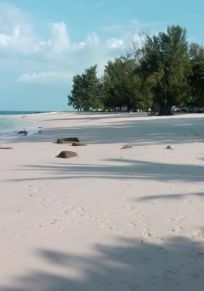 Isla Koh Bulon Pai