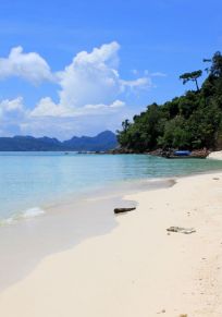 Bamboo Island