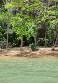 Isla Koh Thon
