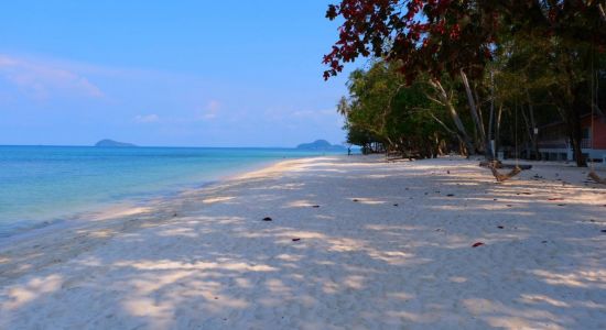 Playa Laoya Coco