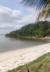 Isla das Cobras