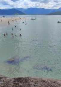 Isla dos Porcos