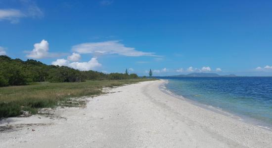 Praia Ancora da Baleia