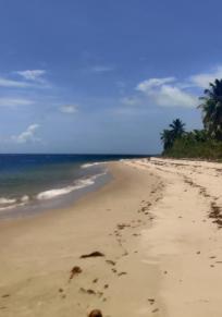 Isla do Goio
