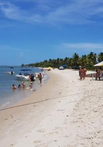 Isla da Sogro