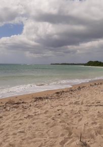 Isla de Tobago