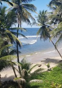 Isla de Trinidad