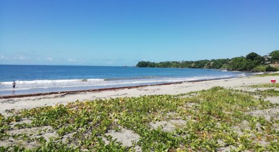 Toco beach