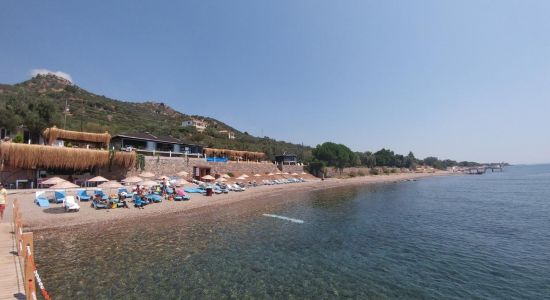 Kotti beach