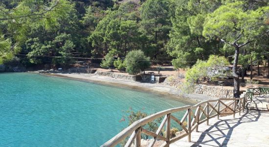 Katrancı Bay