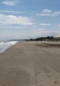 Provincia de Samsun