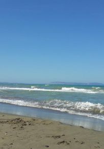 Provincia de Sinop
