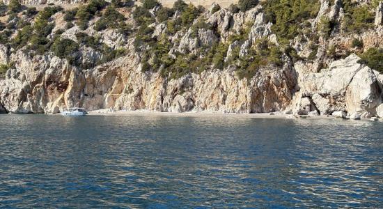 Wild Beach Buyuk Calticak