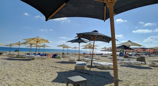 Pirates Beach Club