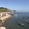 Playa de Charmouth