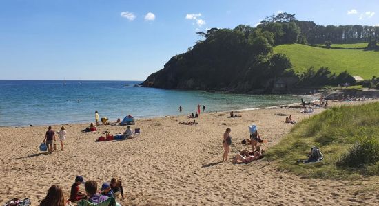 Playa de Mothecombe