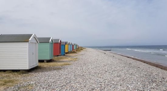 Findhorn Beach